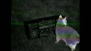 my warped cassette tape