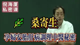 【倪海廈私密課】桑寄生——孕婦安胎與肝病調理的中醫秘密，補肝腎 強筋骨 安胎護肝。#倪海廈 #自學中醫 #中藥#中醫基礎課程