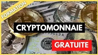 CRYPTO MONNAIE: COMMENT &Ccedil;A FONCTION ❓ FORMATION GRATUITE 🤑
