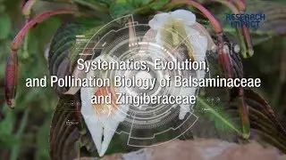 Systematics, Evolution, and Pollination Biology of Balsaminaceae and Zingiberaceae