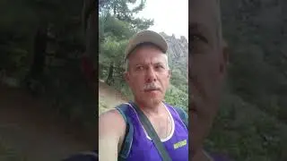 Сосновый лес рядом с потухшим вулканом Карадаг в Крыму pine forest extinct Karadag volcano in Crimea