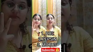 🔥Gastric Glands secretions and functions of HCL, PEPSIN, MUCUS | #shorts #prabhatalks  #term1cbse