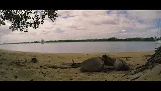 Life in Motion | Oleta River State Park | GoPro Edit