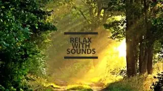 Energetic Pop [Background Music]