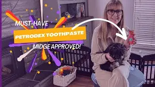 Fresh Breath & Healthy Teeth! Midge Reviews Petrodex Dog Toothpaste!
