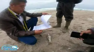 PARTICIPAMOS EN EL CAMPEONATO DE ILO PLAYA BOLIVIA MAR - SOMOS FULL PESCA