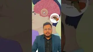 #Amygdala #motivation #ilovetostayfit #music #education #news #braincells #brain #mindset #mind