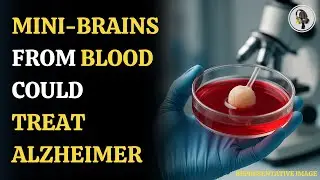 Mini-Brains Grown from Blood Could Revolutionize Alzheimer&rsquo;s Diagnosis | WION Podcast