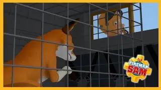 Fixing a Fox's leg 🔥 Fireman Sam Season 12 Episodes