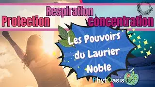 l'Huile essentielle de Laurier noble : votre alli&eacute; contre la fatigue, les infections et bien plus !