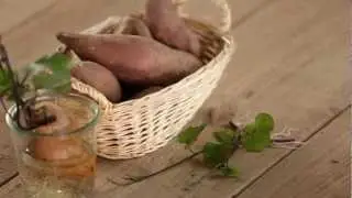 How to Make Sweet Potato Slips