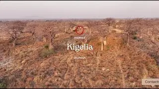 Nomad Tanzania - Kigelia, Ruaha | Member