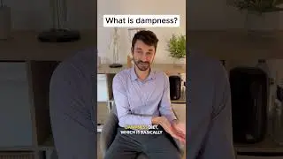 What is dampness
