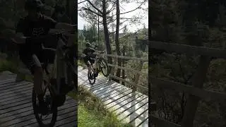 The only way to cross a bridge👨🏼&zwj;🔬