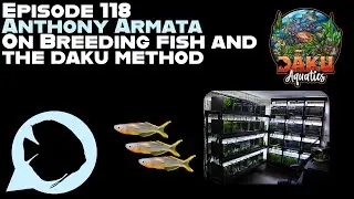 Ep. 118 - Anthony Armata on Breeding Fish and The Daku Method