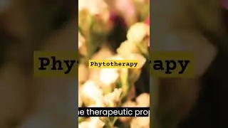 Phytotherapy: 💐 🌹 🌸 #blossom #orchidsociety #flowers