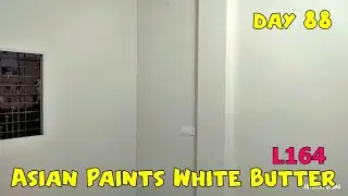 Asian Paints White Butter L164 For Home | Home Construction Day 88