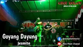 Goyang Dayung - Jesmita Bersama NINI PELET BAND