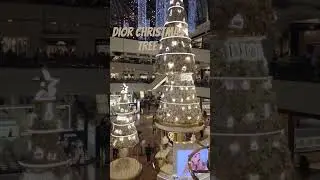 DIOR Christmas Tree in Emirates mall /Myrna tv explorer