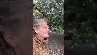 ЕСЛИ Я СОЙДУ С УМА