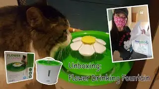 Unboxing Flower Drinking Fountain by CatIt for Mickey #Cats #CatIt | Tala Vlog #6