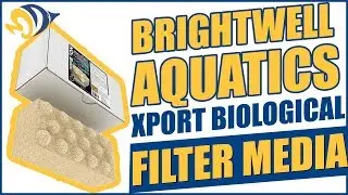 Improve water quality naturally with Brightwell Aquatics Xport Biological Filter Media