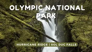 Hurricane Ridge and Hiking Sol Duc Falls | Olympic National Park Vlog
