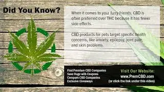 CBD Oil Capsules For Pain CBD and Effects