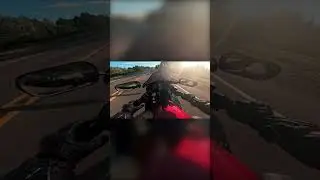 I&rsquo;ll never financially recover from this #motorcycle #motovlog #cbr #funny #bikelife #bikecollector