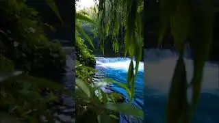 Pure Nature Waterfall Ambience 🌿