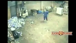 Best Beer Fail Compilation