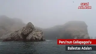 Paracas, Ballestas adaları ve Peru Şamdanı  - Mini Belgesel