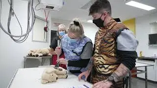 Study Animal Studies and Vet Nursing at TAFE SA