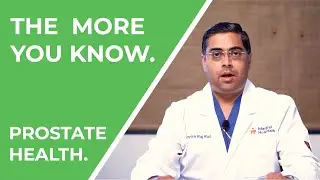 What is the Prostate Gland? - Prostate Health - VITAL FLOW