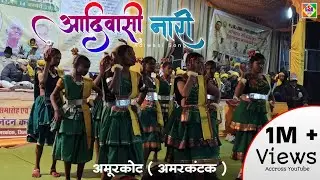 अमूरकोट (अमरकंटक) रात्रि प्रोग्राम | आदिवासी नारी | Recording dance