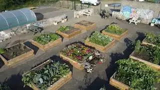 North Muirton Community Allotments: From disused Space to Opening Day (Aug 2024 – Aug 2025)