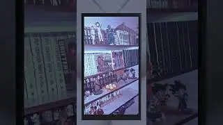 One Piece vs Manga Regal