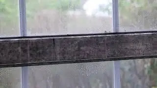 How to clean mould