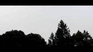 flying baby exf1