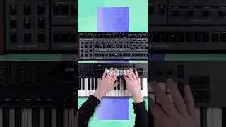 Playing @Oberheim OB-X8 with @NovationTV Launchkey #synth #backrooms #electronicmusic #ambient