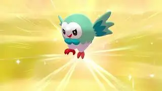 Brindibou Shiny