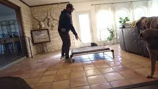 04 Sirius the Mini Schnauzer learns the place command