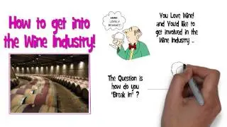 Winery Jobs: How to Get Into the Wine Industry?
