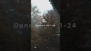 Four Kings Defeated - Torah Daily - Genesis 14:1-24 #shorts