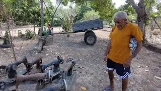 PATONHO CONHECENDO AQUI O  QUINTAL  &Eacute; S&Oacute; FELICIDADES