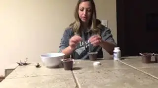 Plexus Probio5 vs Brand X Probiotic
