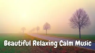 Beautiful relaxing calm music no copyright background music @BACKBONESTAR