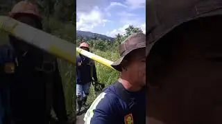 pole to pole inspection power restoration