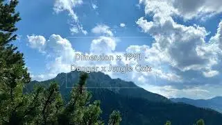 Dimension x 1991 - Danger x Jungle Cats (Mashup)
