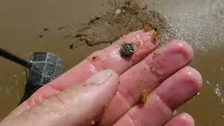 Chasing Pandora!